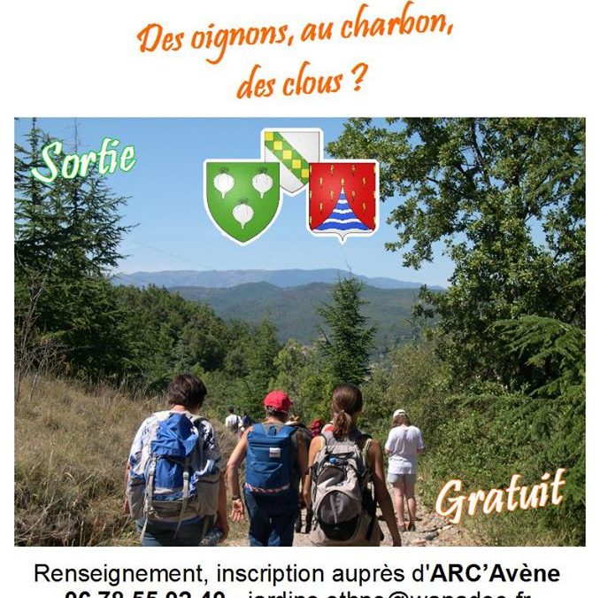 Sortie : Des oignons, au charbon , des clous ?