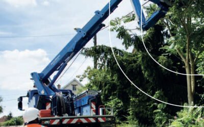 Elagage des réseaux électriques