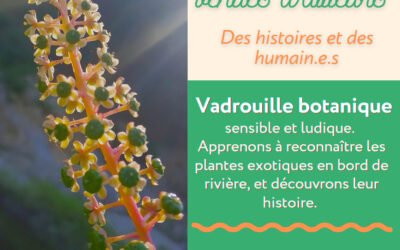 Vadrouille botanique à la découverte des plantes venues d’ailleurs