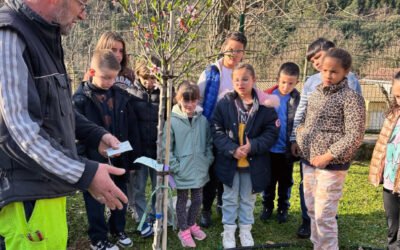 Les élèves de l’école de Saint-Jean-de-Valériscle plantent des arbres