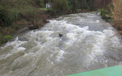 IL ETAIT UNE FOIS L&rsquo;AUZONNET