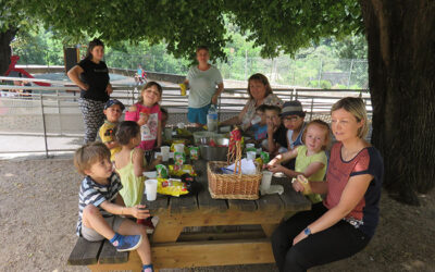 PIQUE-NIQUE A L&rsquo;OMBRE DES MARRONNIERS