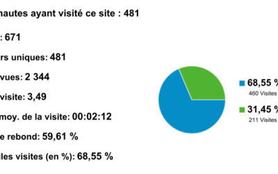 LA FRÉQUENTATION DU SITE EN JANVIER