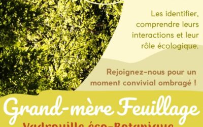 GRAND-MÈRE FEUILLAGE