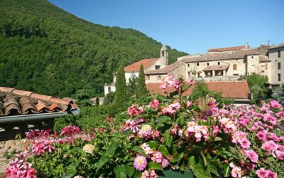 UNE FLEUR POUR NOTRE VILLAGE