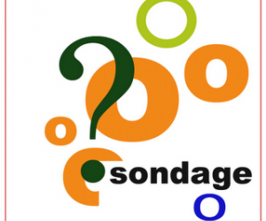 RÉFLEXIONS SUR L&rsquo;AVENIR DU VILLAGE